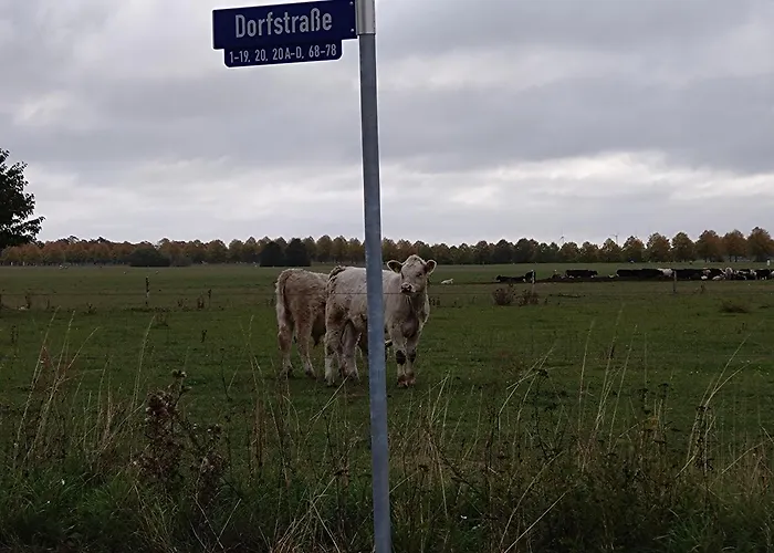 アパート Moderne Wohlfuehlwohnung Auf Einem Dreiseitenhof Lichtenberg (Brandenburg)